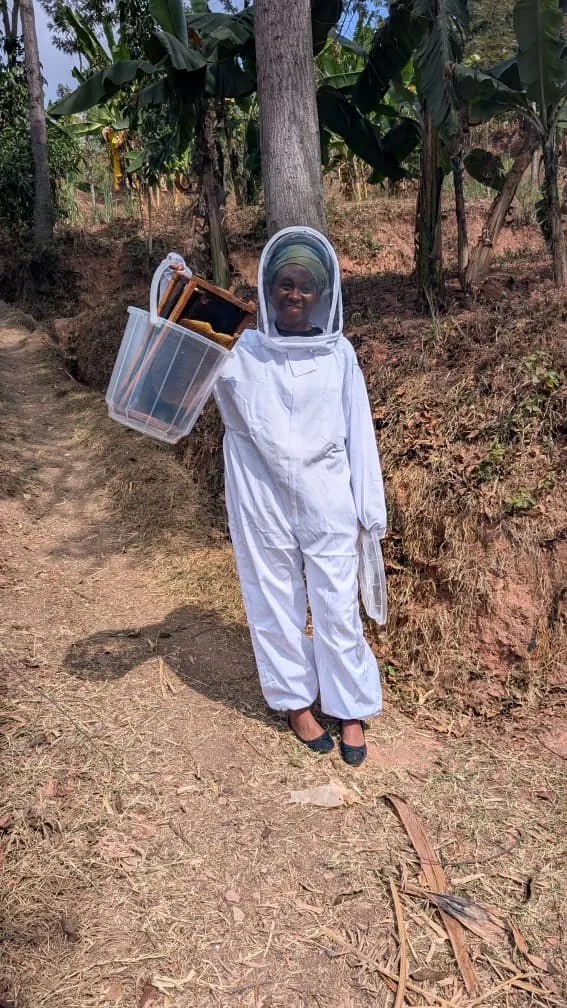 A smiling beekeeper in a white suit carrying hive frames in a basket