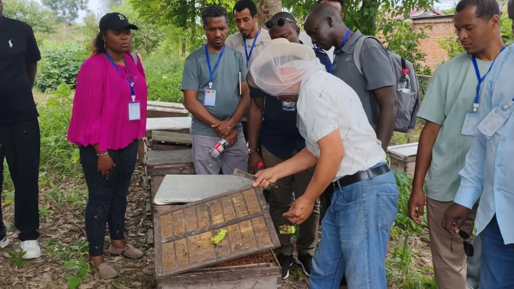 Trainees watching a beekeeping instructor open a hive during training