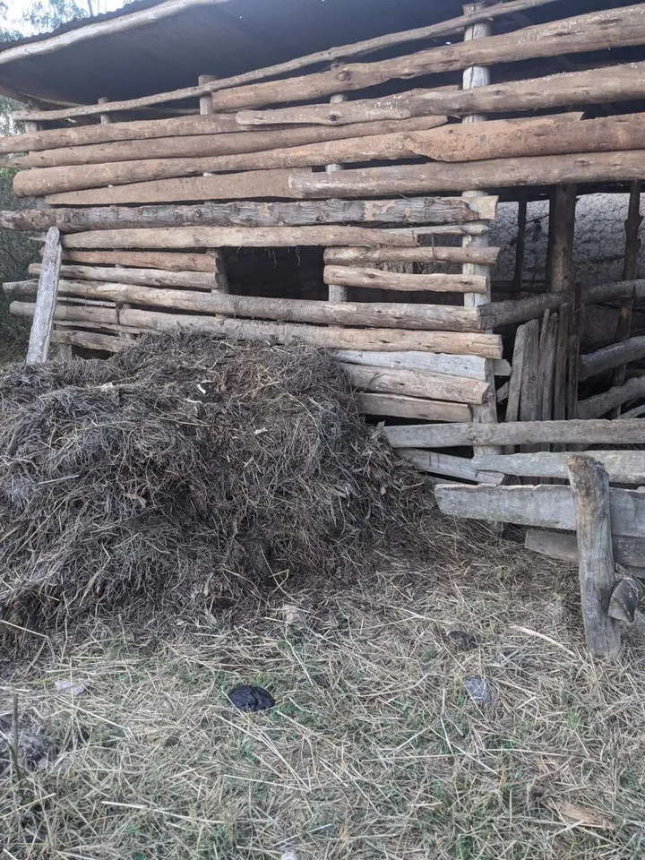 A heap of straw and manure gathered for making our organic growing medium