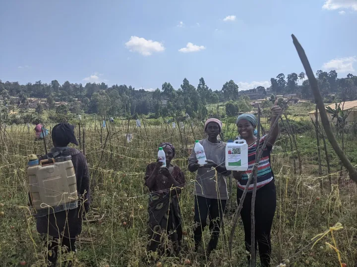 Farmers in the field with HINGA WEZE, one carrying a backpack sprayer